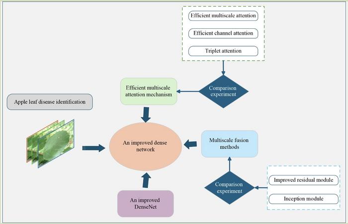 enhancing-apple-disease-detection-through-multi-scale-features-and-attention-mechanisms