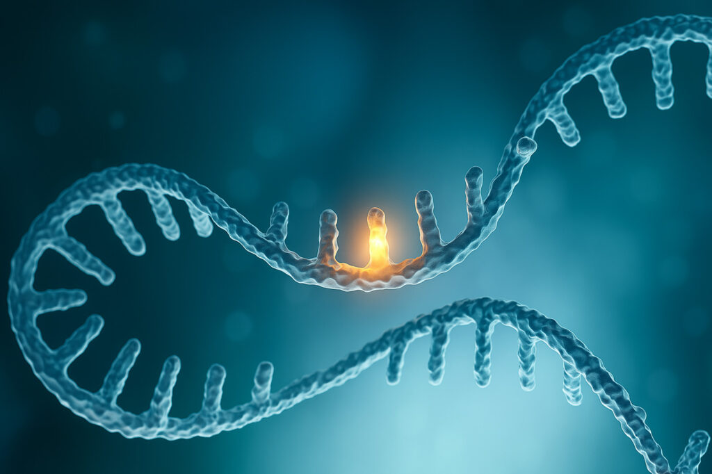 epitranscriptomics:-a-new-frontier-in-rna-epigenetics-25-years-after-the-human-genome-project
