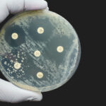 amr-may-meet-its-match:-new-compound-shows-preclinical-promise