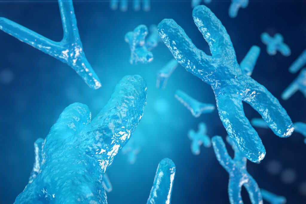 research-tool-generates-aneuploid-cells-to-study-fertility-and-cancer