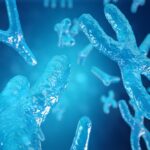 research-tool-generates-aneuploid-cells-to-study-fertility-and-cancer