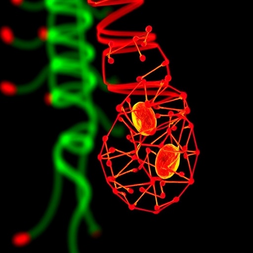 leadr-suppresses-interferon-signaling-in-bladder-cancer