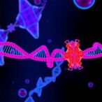 spsb1-controls-hnrnp-a1-to-regulate-splicing,-migration