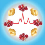 multiomics-profiling-of-blood-sugar-responses-provides-window-to-metabolic-health