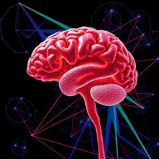 hippocampus-builds-expanding-memory-maps
