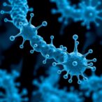 selenoxide-enables-water-resistant-tyrosine-protein-tagging