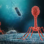 uk.’s-first-official-guidance-to-support-safe-development-and-use-of-phage-therapies-published