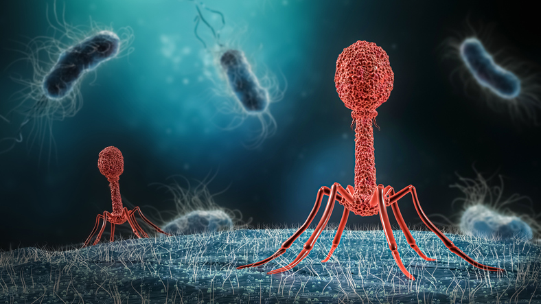 uk.’s-first-official-guidance-to-support-safe-development-and-use-of-phage-therapies-published