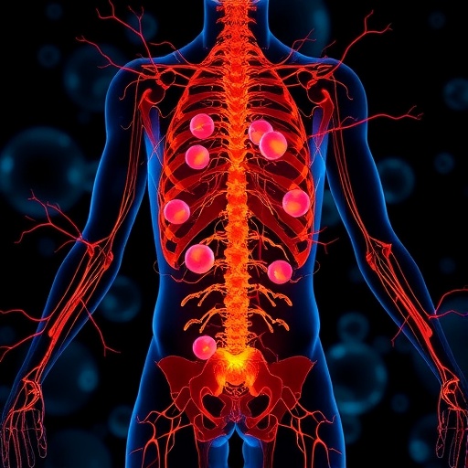 brown-fat-secretes-olfm4-to-guide-nerve-cells