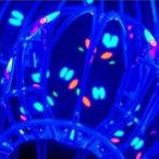 crem-regulates-car-and-il-15-signaling