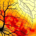 warming-intensifies-global-drought-severity