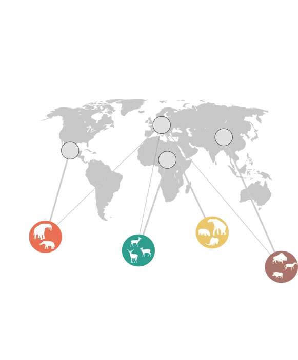 two-major-events-shaped-herbivores-over-60-million-years-—-yet-their-role-remains-unchanged