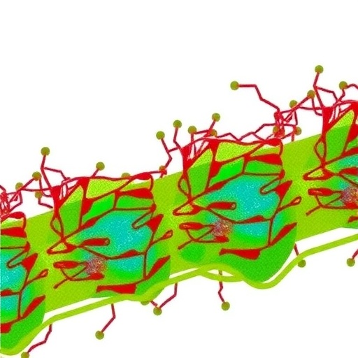 cathepsin-c-drives-m2-macrophage-tumor-growth