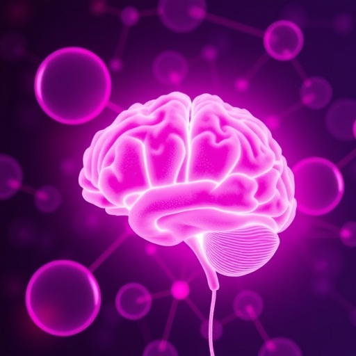 extended-reproductive-span-associated-with-improved-brain-health-in-aging-women,-new-study-finds