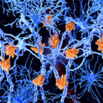 multiple-sclerosis-society-announces-ms-research-and-funding-opportunities
