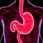 chemo-plus-pd-1-and-bevacizumab-boost-gastric-cancer-therapy