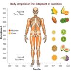 body-composition-index-independent-of-nutrition-in-bone-maturation