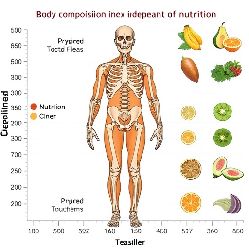 body-composition-index-independent-of-nutrition-in-bone-maturation