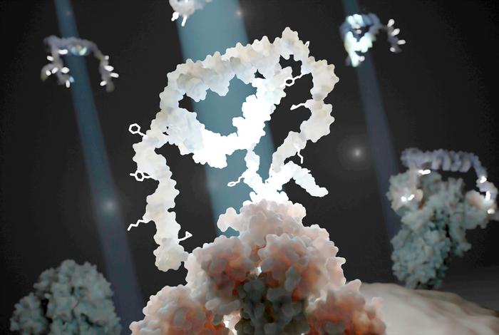 ultra-selective-aptamers-turn-the-tables-on-viruses