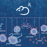 humanized-mice:-next-gen-animal-models-engineered-for-translational-research