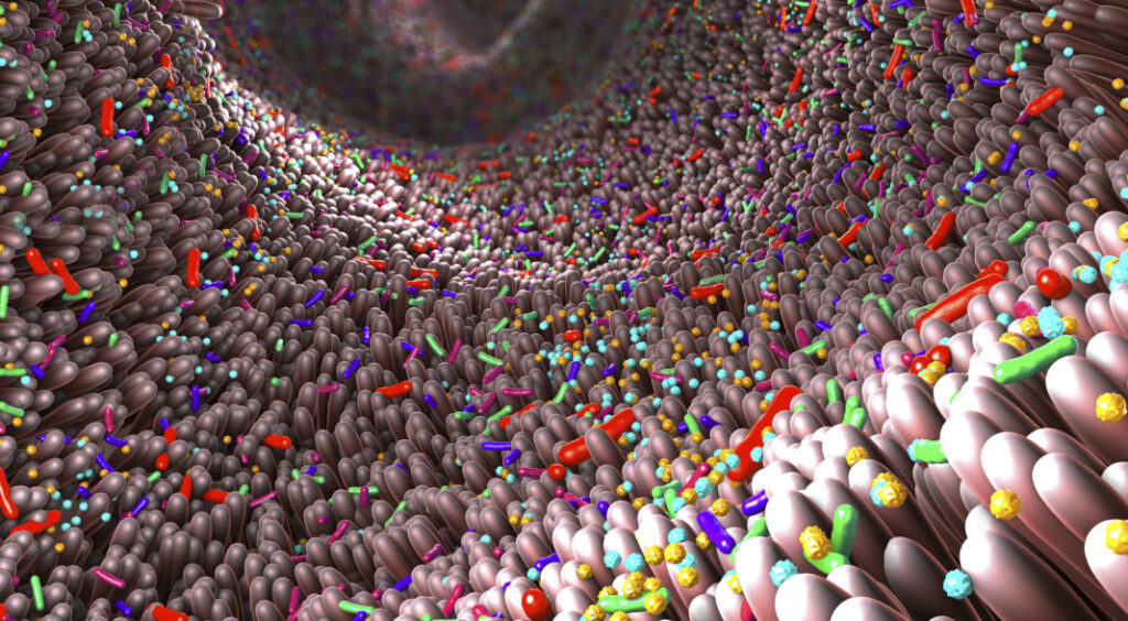 fmt-safety-questioned:-microbiome-mismatches-may-have-unintended-health-effects