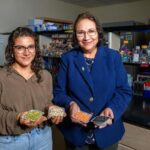 fermenting-legume-pulses-enhances-their-antidiabetic-and-antioxidant-benefits
