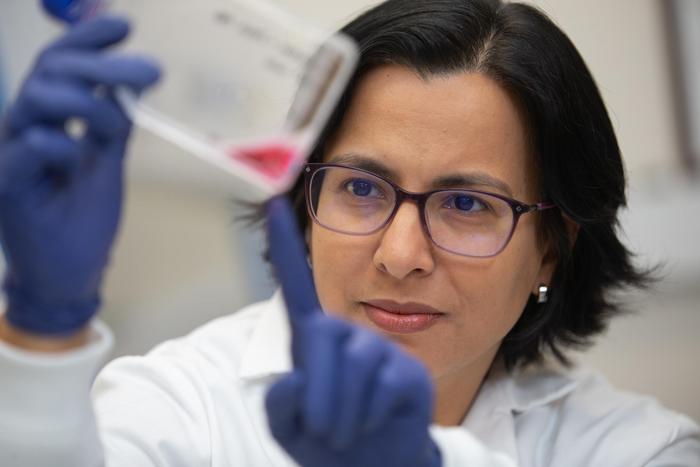scientists-focus-on-lifecycle-of-lethal-parasite