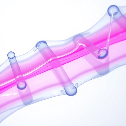 high-strength-gradient-hydrogels-for-tendon-repair