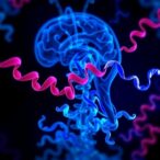 new-lrrk2-variant-alters-parkinson’s-protein-interaction