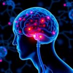peripheral-inflammation’s-role-in-parkinson’s-symptoms-explored