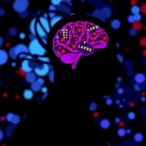 genomic-alterations-in-t-follicular-helper-lymphoma-linked-to-patient-prognosis