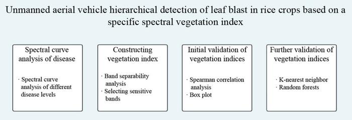 rbi’s-role-in-enhancing-accurate-detection-of-rice-blast-disease