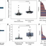 how-cigarette-smoke-and-dna-repair-deficiency-collaborate-to-drive-lung-cancer-development