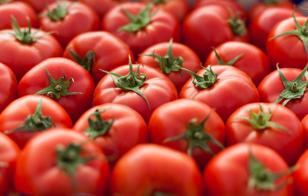 scalable-crispr-based-gene-editing-improves-tomato-crop-traits