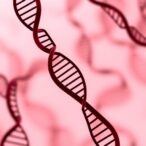 study-reveals-major-shortfalls-in-genetic-cancer-risk-testing