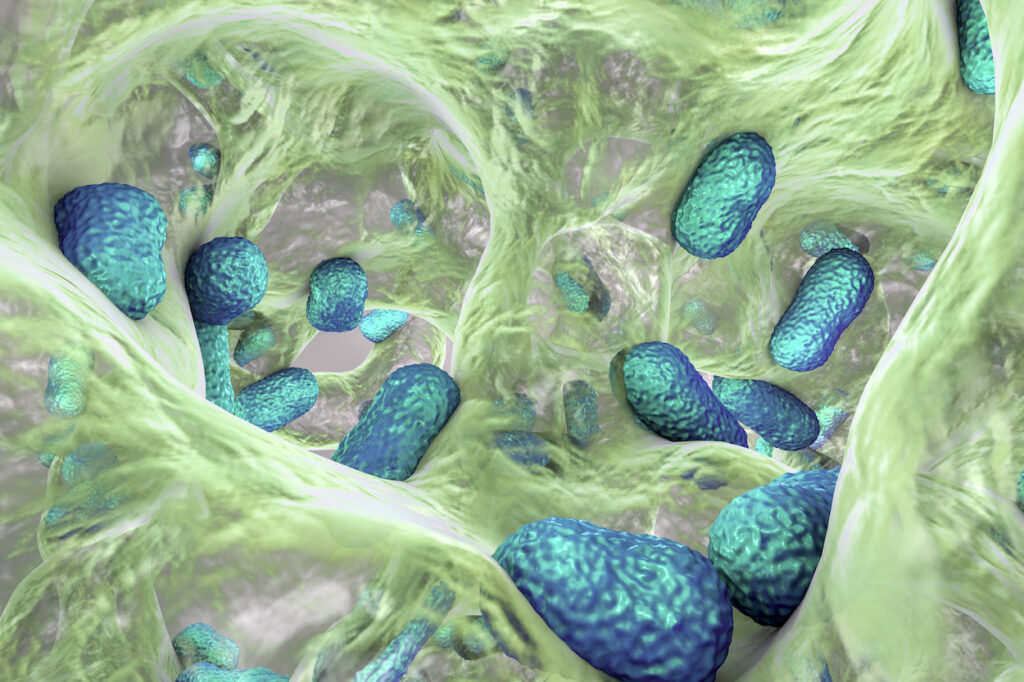 shedding-light-on-amr-superbugs:-from-penicillin-to-photoactivated-precision