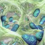 shedding-light-on-amr-superbugs:-from-penicillin-to-photoactivated-precision