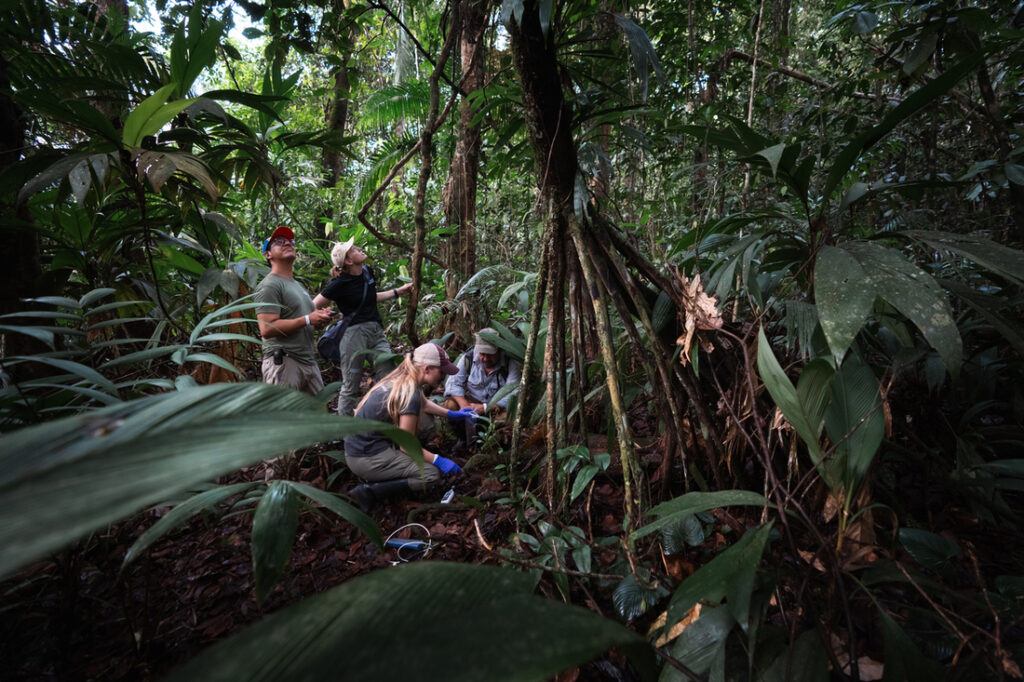million-species-listing:-basecamp-research-unearths-trove-of-sequence-data-from-novel-species