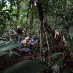 million-species-listing:-basecamp-research-unearths-trove-of-sequence-data-from-novel-species