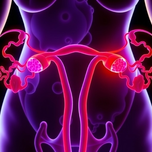 sglt2-inhibitors-linked-to-endometrial-cancer-survival