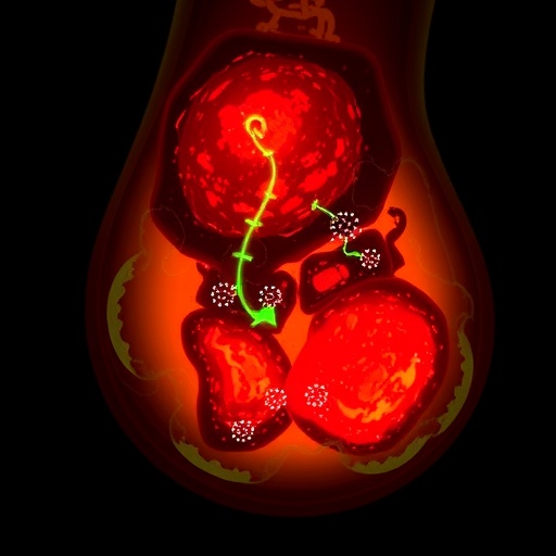 s-nitrosylated-nedd4-drives-gouty-arthritis-via-pyroptosis
