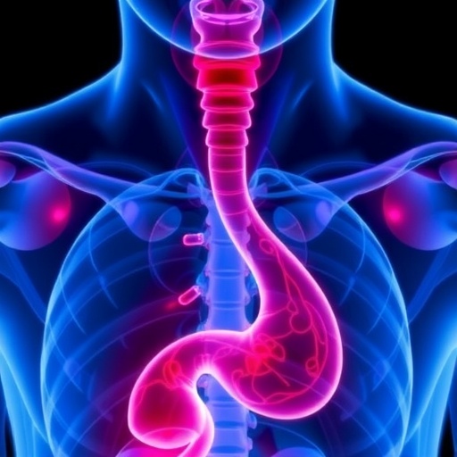adjuvant-chemotherapy-benefits-in-esophageal-cancer?