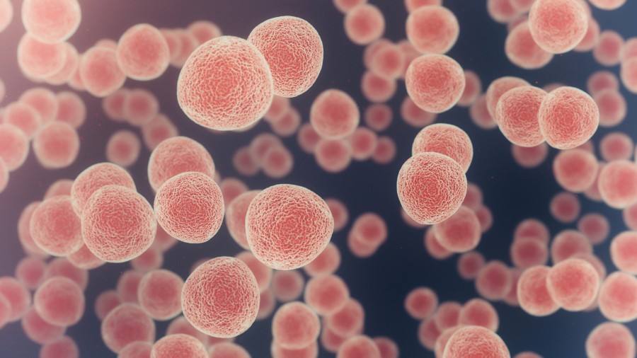genetic-effects-of-chemotherapy-revealed-to-guide-cancer-treatment