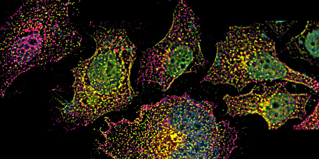 enhancing-asos-efficacy-by-slowing-down-intracellular-transport