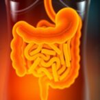 human-gut-bacteria-accumulate-toxic-pfas-chemicals