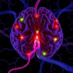 postsynaptic-m4-signaling-mirrors-dopamine-loss-patterns