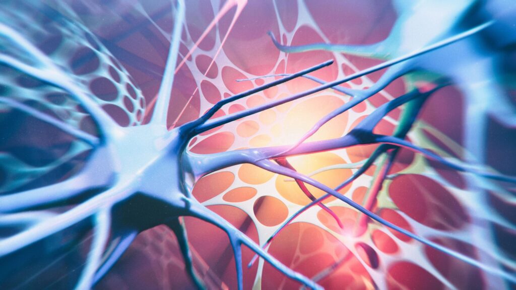 enzyme-inhibition-restores-neuron-pathways-in-a-parkinson’s-mouse-model