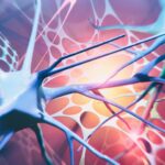 enzyme-inhibition-restores-neuron-pathways-in-a-parkinson’s-mouse-model