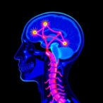 nerve-specific-fluorescence-enhances-head,-neck-surgery