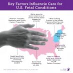 key-factors-influencing-care-for-us.-fetal-conditions